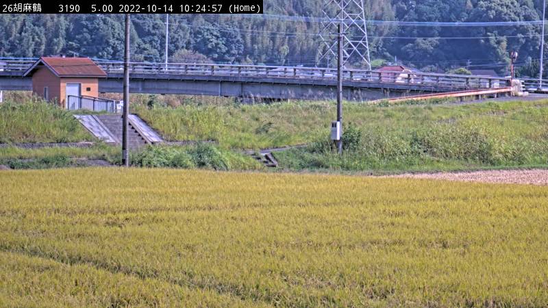 胡麻鶴 内稙田樋管の平常時の画像です